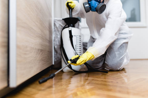Wildlife Control Services in Elmsford, NY