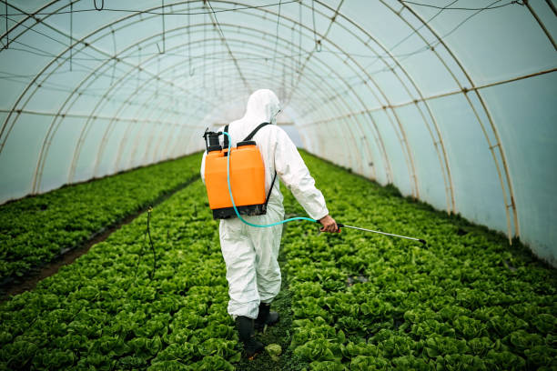 Best Best Pest Control Companies  in Elmsford, NY