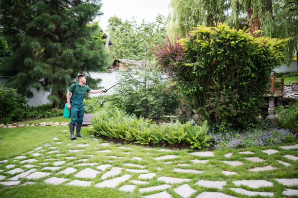 Best Insect Control  in Elmsford, NY