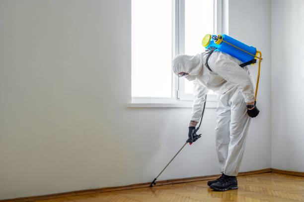 Best Pest Removal Services  in Elmsford, NY