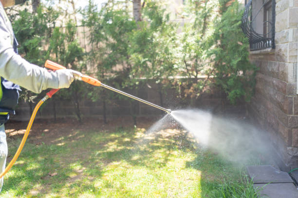 Best Spider Control Near Me  in Elmsford, NY