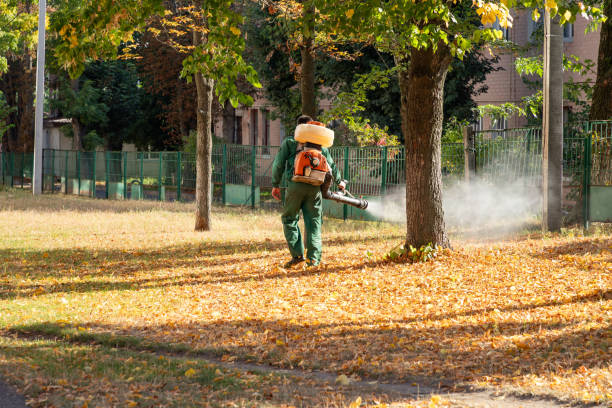 Best Emergency Pest Control  in Elmsford, NY