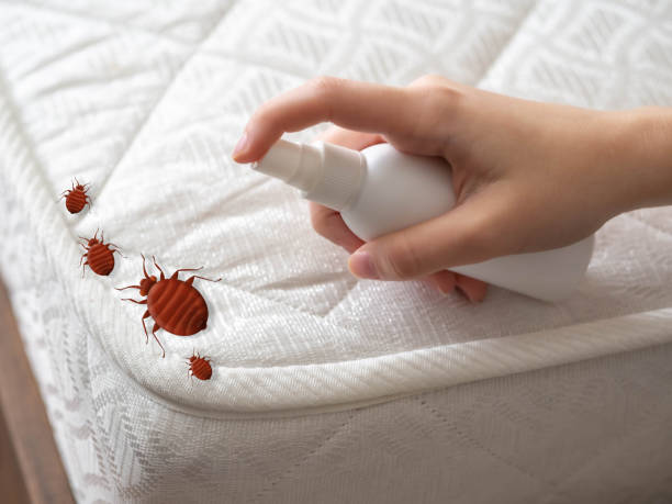 Pest Control for Restaurants in Elmsford, NY