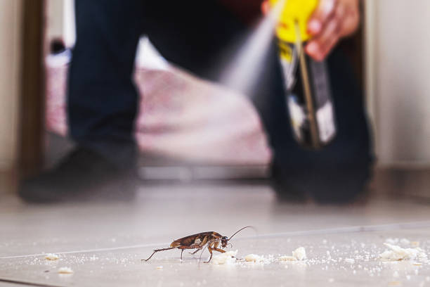 Best Pest Prevention Services  in Elmsford, NY