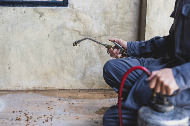 Best Emergency Pest Control  in Elmsford, NY